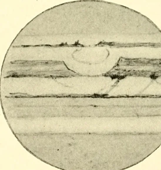 An illustration from The evolution of worlds, 1909, leaf 201