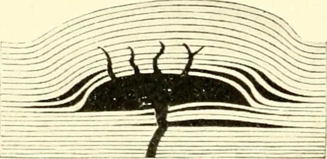 An illustration from The evolution of worlds, 1909, leaf 207