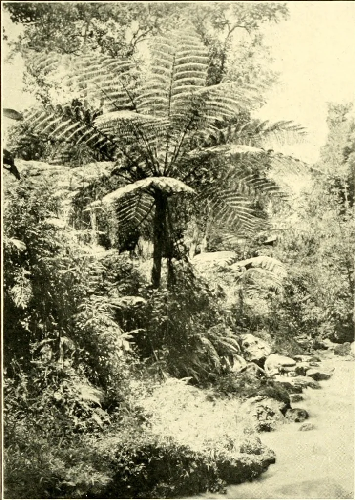 An illustration from The evolution of worlds, 1909, leaf 214