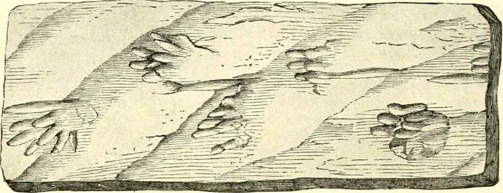 An illustration from The evolution of worlds, 1909, leaf 227