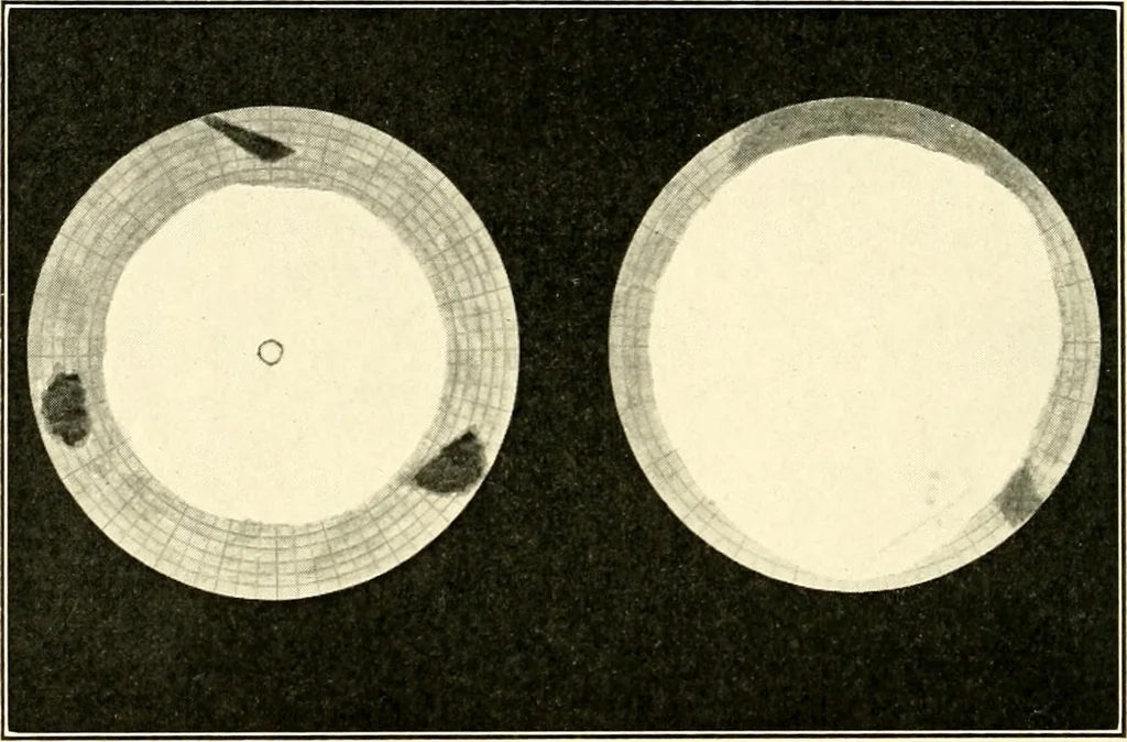 An illustration from The evolution of worlds, 1909, leaf 237