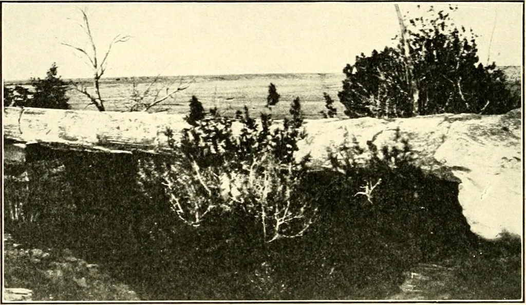 An illustration from The evolution of worlds, 1909, leaf 249