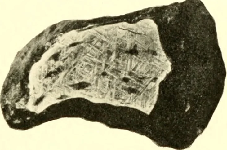 An illustration from The evolution of worlds, 1909, leaf 66