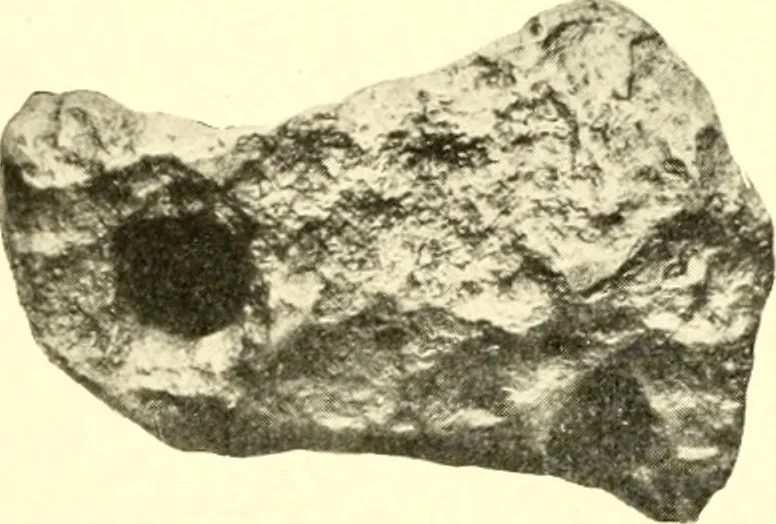 An illustration from The evolution of worlds, 1909, leaf 66