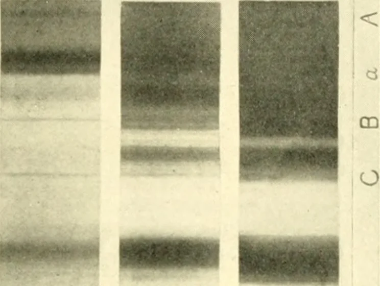 An illustration from The evolution of worlds, 1909, leaf 78