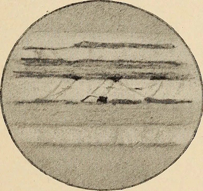 An illustration from The evolution of worlds, 1909, leaf 134