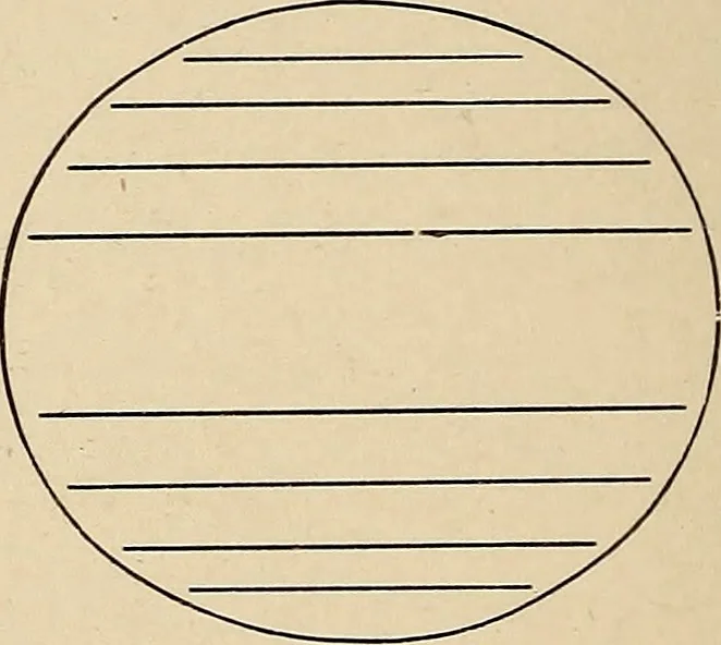 An illustration from The evolution of worlds, 1909, leaf 145
