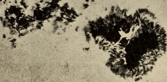 An illustration from The evolution of worlds, 1909, leaf 201