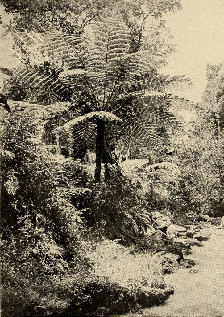 An illustration from The evolution of worlds, 1909, leaf 212