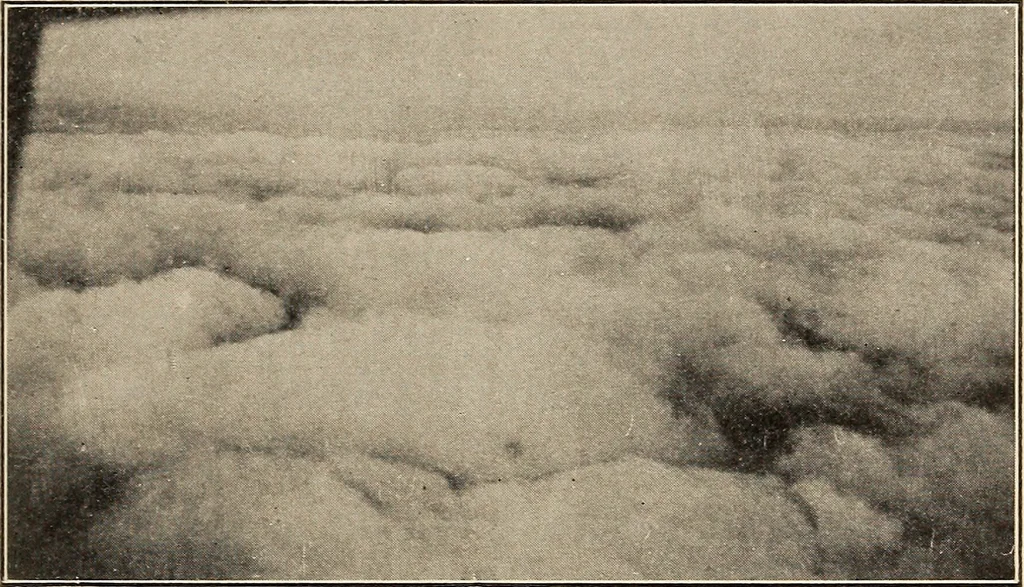 An illustration from The evolution of worlds, 1909, leaf 220