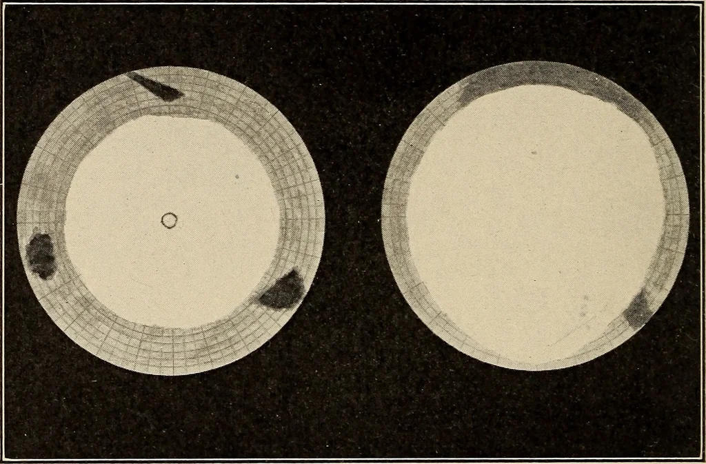 An illustration from The evolution of worlds, 1909, leaf 235