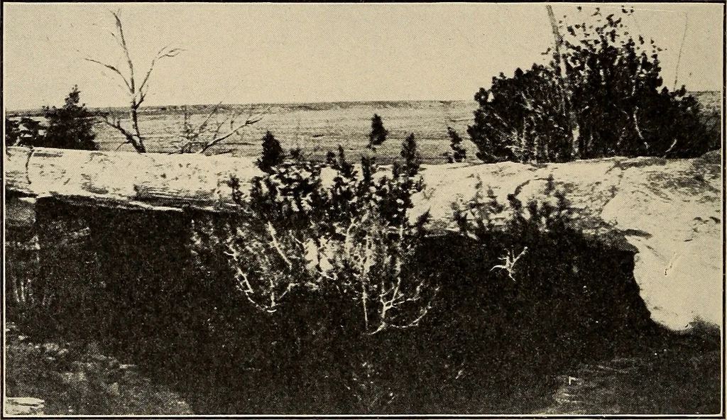 An illustration from The evolution of worlds, 1909, leaf 247