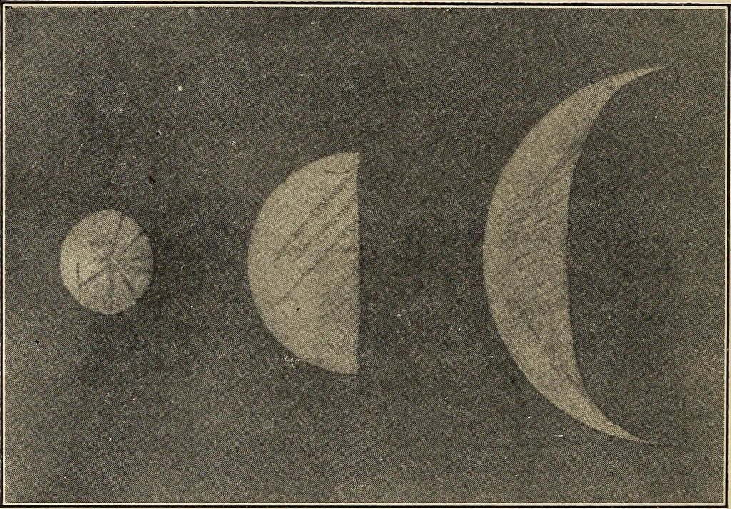 An illustration from The evolution of worlds, 1909, leaf 257