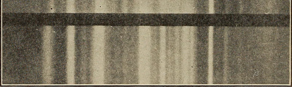 An illustration from The evolution of worlds, 1909, leaf 31