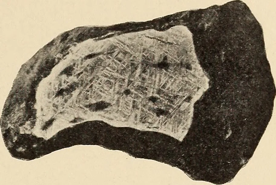 An illustration from The evolution of worlds, 1909, leaf 64