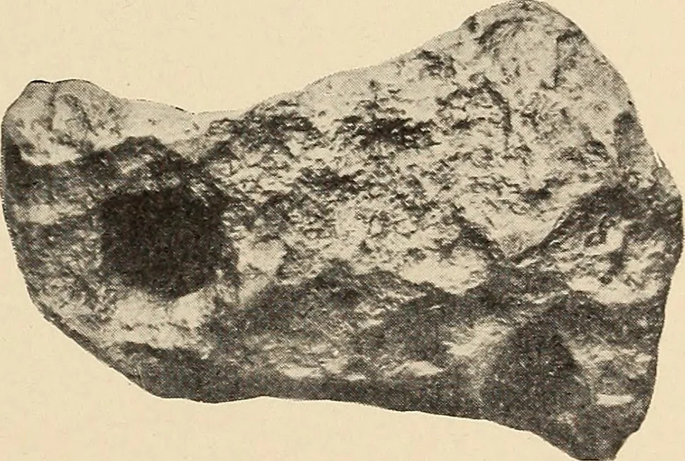 An illustration from The evolution of worlds, 1909, leaf 64