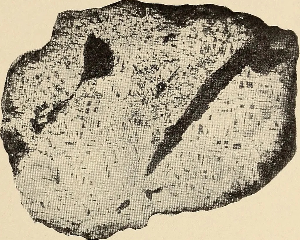 An illustration from The evolution of worlds, 1909, leaf 66