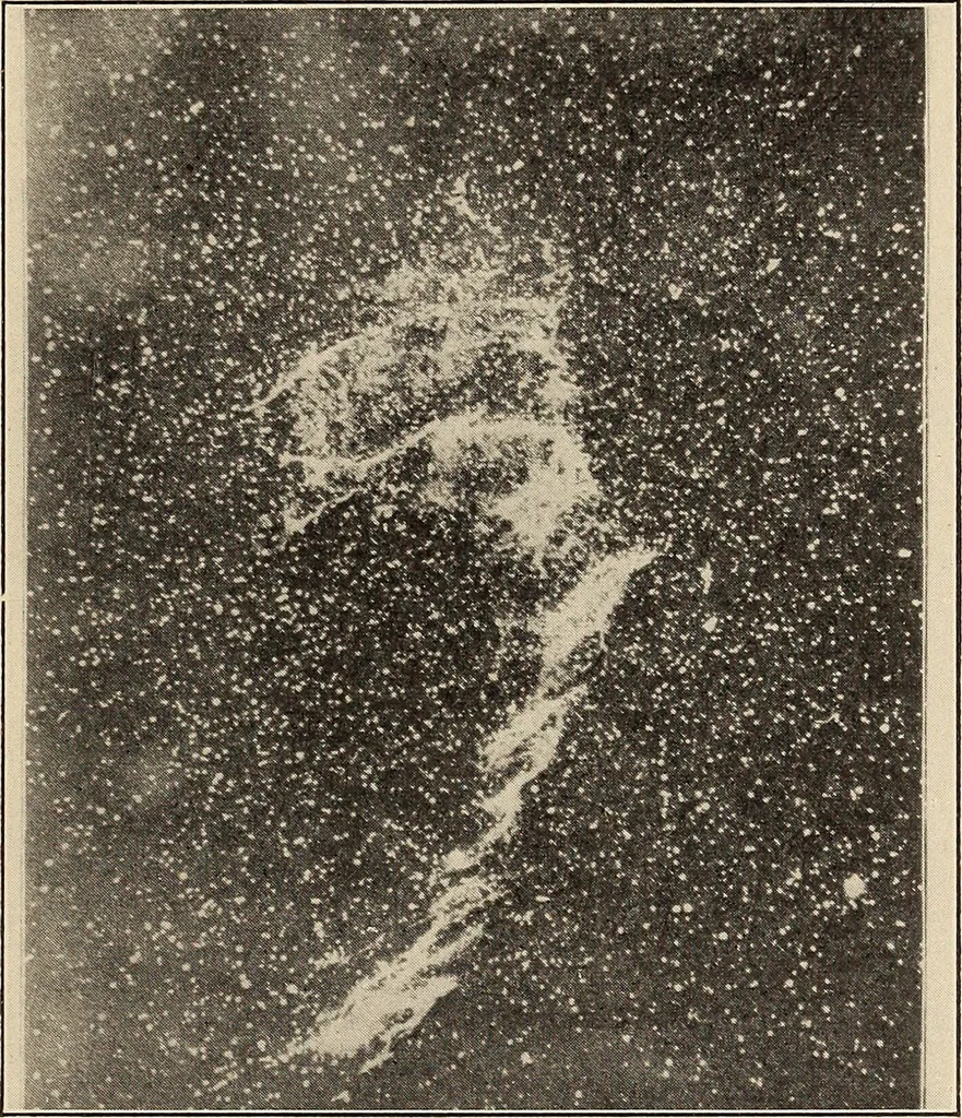 An illustration from The evolution of worlds, 1909, leaf 68