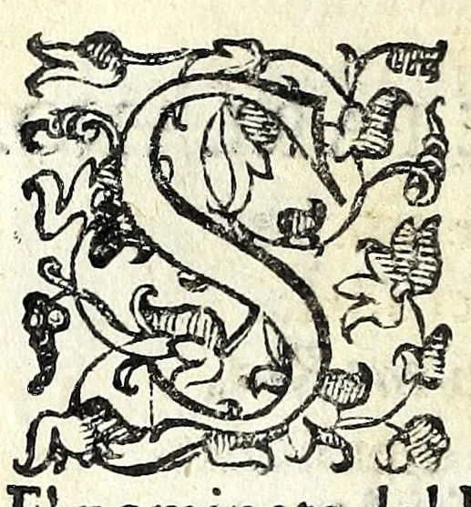 An illustration from Evphimia : tragedia, 1583, leaf 10