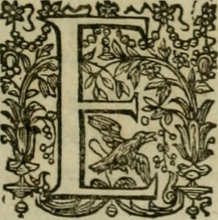 An illustration from Exactissima descriptio rariorum quarundam plantarum, que continentur Rome in Horto Farnesiano, 1625, leaf 10