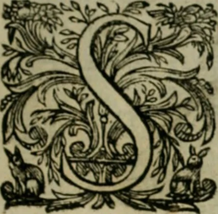 An illustration from Exactissima descriptio rariorum quarundam plantarum, que continentur Rome in Horto Farnesiano, 1625, leaf 100