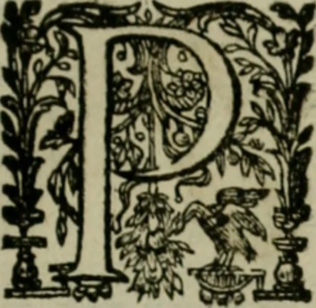 An illustration from Exactissima descriptio rariorum quarundam plantarum, que continentur Rome in Horto Farnesiano, 1625, leaf 102