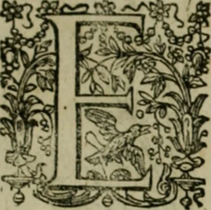 An illustration from Exactissima descriptio rariorum quarundam plantarum, que continentur Rome in Horto Farnesiano, 1625, leaf 104