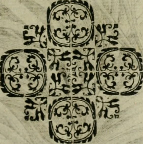 An illustration from Exactissima descriptio rariorum quarundam plantarum, que continentur Rome in Horto Farnesiano, 1625, leaf 104