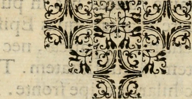 An illustration from Exactissima descriptio rariorum quarundam plantarum, que continentur Rome in Horto Farnesiano, 1625, leaf 11