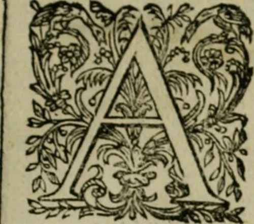 An illustration from Exactissima descriptio rariorum quarundam plantarum, que continentur Rome in Horto Farnesiano, 1625, leaf 110