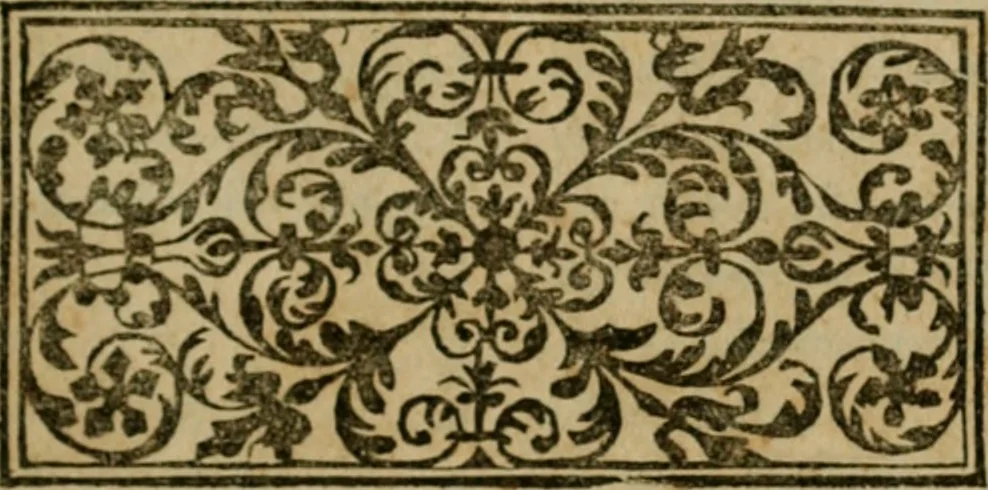 An illustration from Exactissima descriptio rariorum quarundam plantarum, que continentur Rome in Horto Farnesiano, 1625, leaf 116