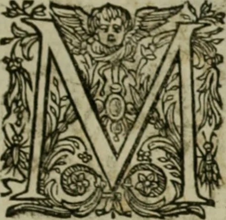 An illustration from Exactissima descriptio rariorum quarundam plantarum, que continentur Rome in Horto Farnesiano, 1625, leaf 16