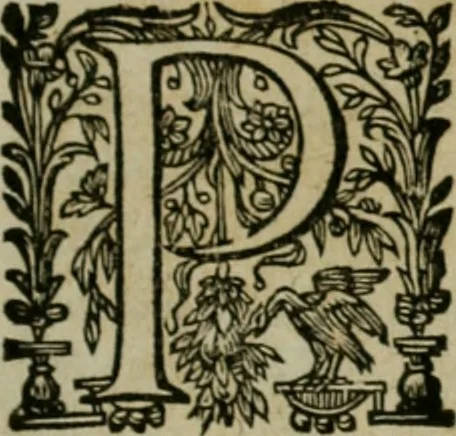 An illustration from Exactissima descriptio rariorum quarundam plantarum, que continentur Rome in Horto Farnesiano, 1625, leaf 18