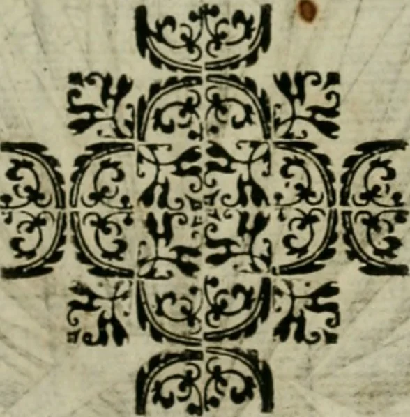 An illustration from Exactissima descriptio rariorum quarundam plantarum, que continentur Rome in Horto Farnesiano, 1625, leaf 46