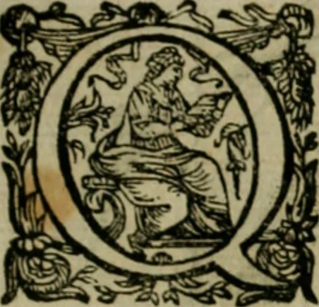 An illustration from Exactissima descriptio rariorum quarundam plantarum, que continentur Rome in Horto Farnesiano, 1625, leaf 48