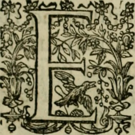 An illustration from Exactissima descriptio rariorum quarundam plantarum, que continentur Rome in Horto Farnesiano, 1625, leaf 6