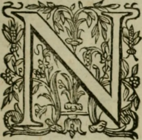An illustration from Exactissima descriptio rariorum quarundam plantarum, que continentur Rome in Horto Farnesiano, 1625, leaf 64