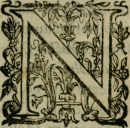 An illustration from Exactissima descriptio rariorum quarundam plantarum, que continentur Rome in Horto Farnesiano, 1625, leaf 76