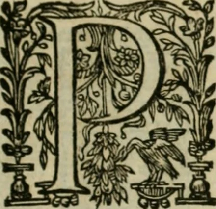 An illustration from Exactissima descriptio rariorum quarundam plantarum, que continentur Rome in Horto Farnesiano, 1625, leaf 8