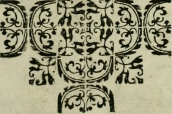 An illustration from Exactissima descriptio rariorum quarundam plantarum, que continentur Rome in Horto Farnesiano, 1625, leaf 84