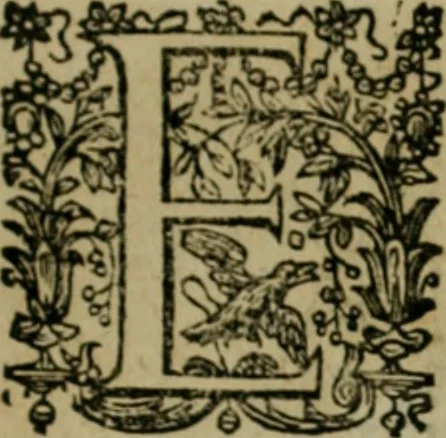 An illustration from Exactissima descriptio rariorum quarundam plantarum, que continentur Rome in Horto Farnesiano, 1625, leaf 86