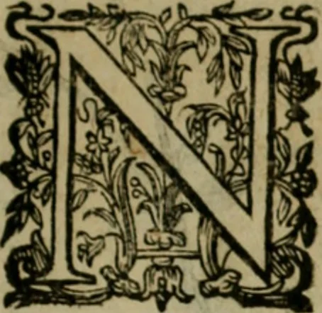 An illustration from Exactissima descriptio rariorum quarundam plantarum, que continentur Rome in Horto Farnesiano, 1625, leaf 88