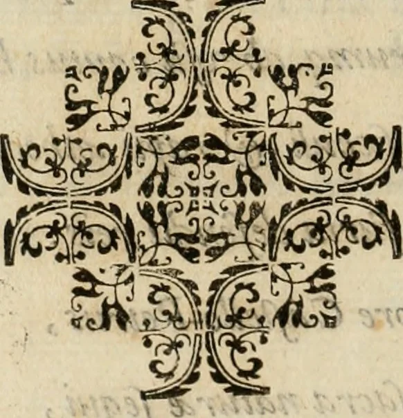 An illustration from Exactissima descriptio rariorum quarundam plantarum, que continentur Rome in Horto Farnesiano, 1625, leaf 9