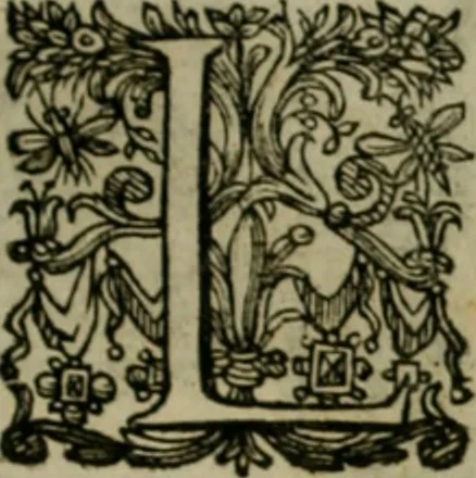 An illustration from Exactissima descriptio rariorum quarundam plantarum, que continentur Rome in Horto Farnesiano, 1625, leaf 98