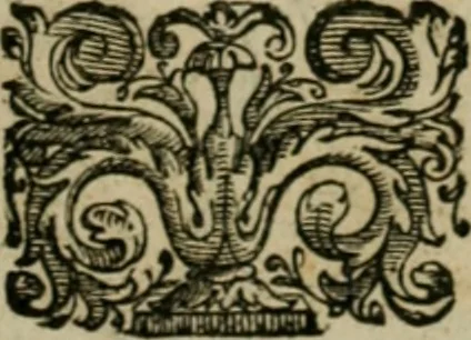 An illustration from Exactissima descriptio rariorum quarundam plantarum, que continentur Rome in Horto Farnesiano, 1625, leaf 98