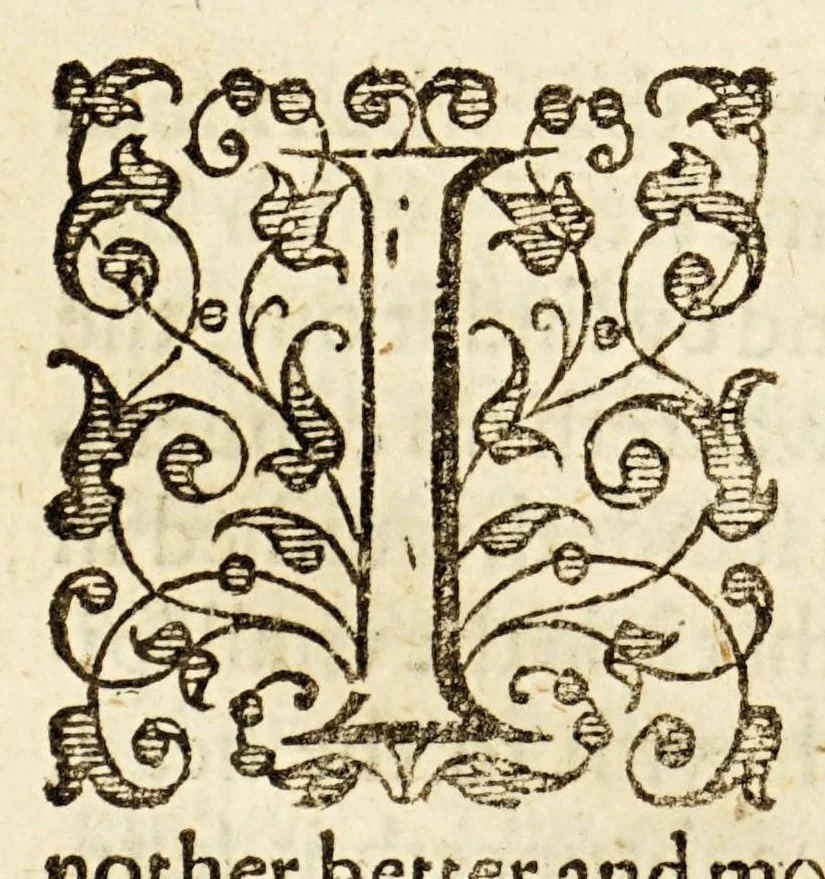An illustration from Examen de ingenios. = The examination of mens vvits. : In which, by discouering the varietie of natures, is shewed for what profession each one is apt, and how far he shall profit therein., 1616, leaf 108