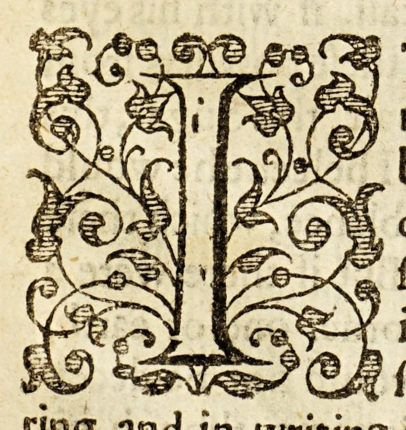 An illustration from Examen de ingenios. = The examination of mens vvits. : In which, by discouering the varietie of natures, is shewed for what profession each one is apt, and how far he shall profit therein., 1616, leaf 146