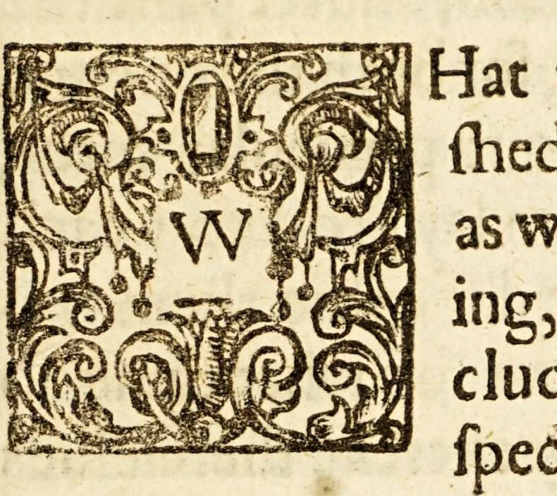 An illustration from Examen de ingenios. = The examination of mens vvits. : In which, by discouering the varietie of natures, is shewed for what profession each one is apt, and how far he shall profit therein., 1616, leaf 193