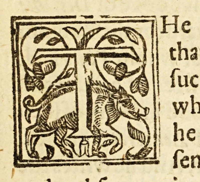 An illustration from Examen de ingenios. = The examination of mens vvits. : In which, by discouering the varietie of natures, is shewed for what profession each one is apt, and how far he shall profit therein., 1616, leaf 21