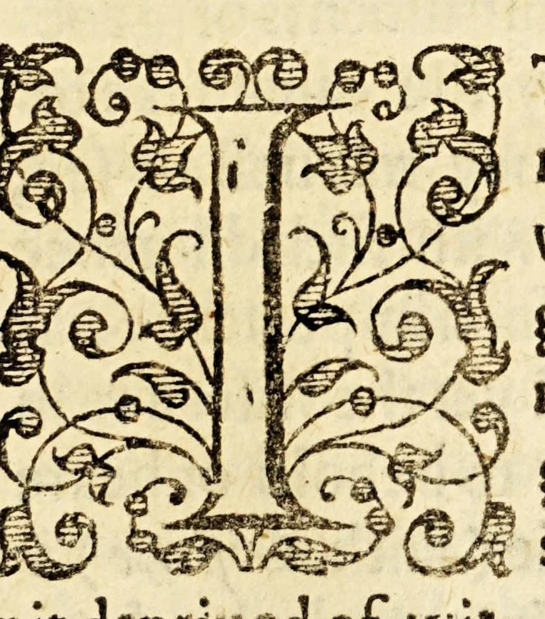 An illustration from Examen de ingenios. = The examination of mens vvits. : In which, by discouering the varietie of natures, is shewed for what profession each one is apt, and how far he shall profit therein., 1616, leaf 283